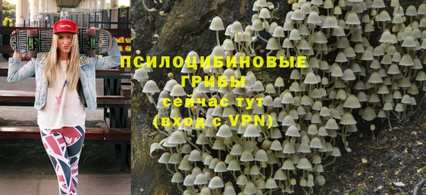 твердый Балахна